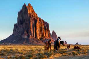 Ship Rock and horses 2-0785.jpg